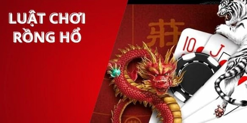 Cách chơi Rồng Hổ hiệu quả qua kỹ năng quan sát